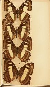 352 image crop 800 500 1000 1000.jpg