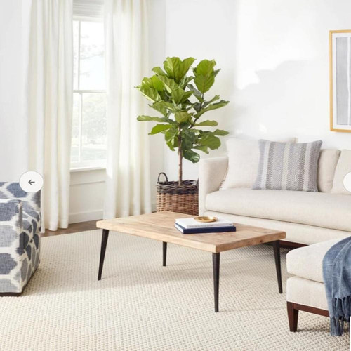 61dO7T2RwjL. AC (1).jpg