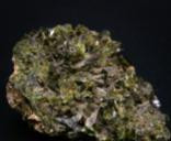 1529 image crop 120 550 360 850.jpg