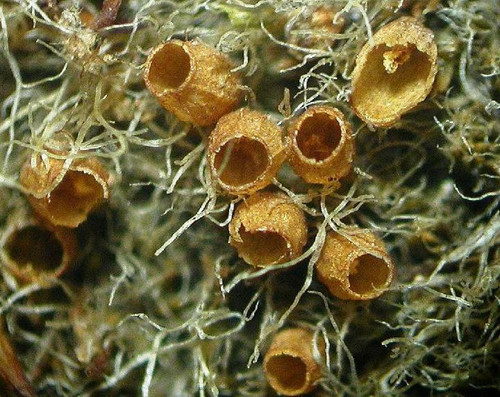 378 image crop 100 100 900 900.jpg