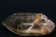 1529 image crop 590 550 890 850.jpg