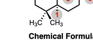 823 image crop 610 500 990 800.jpg