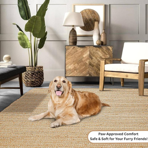 91dECA46kVL. AC SL1500 (1).jpg