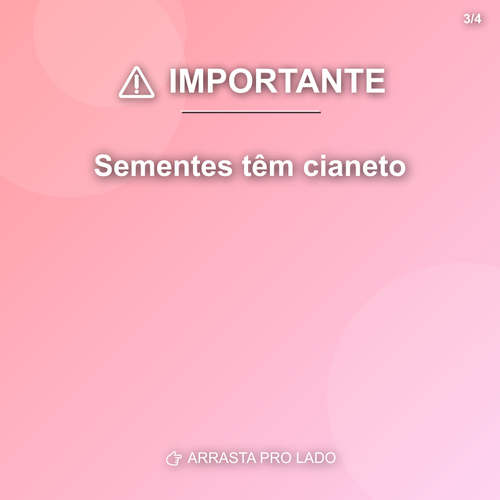carousel 1775529784941 slide3.png