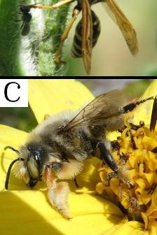 1060 image crop 0 500 500 1000.jpg