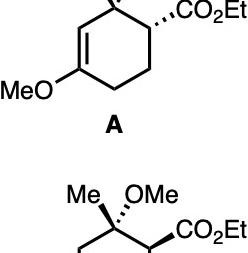 1345 image crop 350 100 500 700.jpg