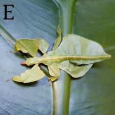 1076 image crop 0 666 500 1000.jpg