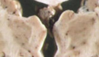 1815 image crop 200 100 800 600.jpg