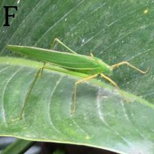 1076 image crop 500 666 1000 1000.jpg