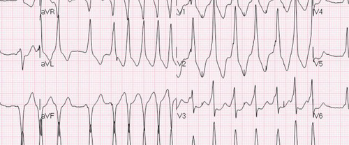 385 image crop 200 200 800 800.jpg