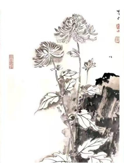 2396 image crop 333 0 666 333.jpg