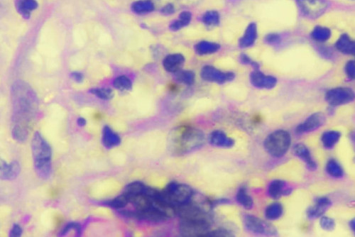 1093 image crop 300 300 700 600.jpg