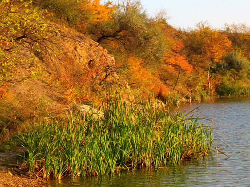 rl 45089519354 o.jpg