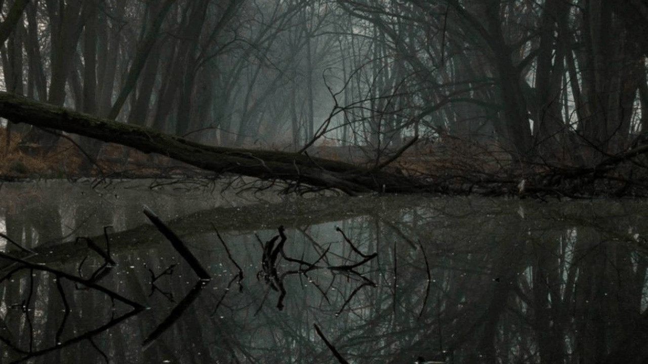 aplikasi android terbaik