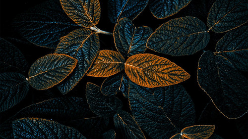 1c1c301e35d6.jpg