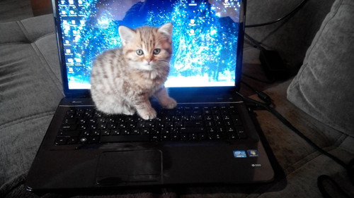 rl 45089520724 o.jpg