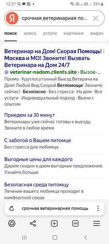 Screenshot 20260407 122702 Yandex Browser.jpg