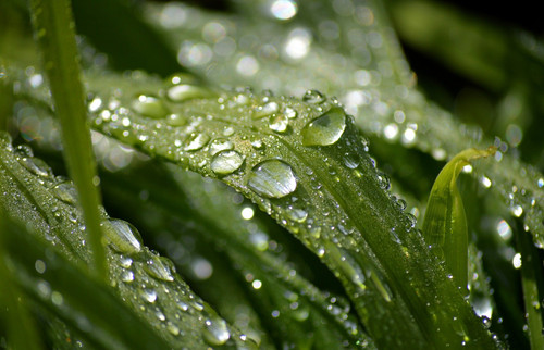 neelam279 raindrop 10190084 1920.jpg