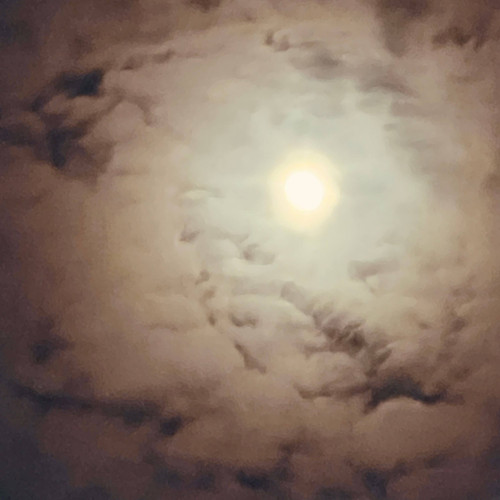 11c0cf10597a.jpg