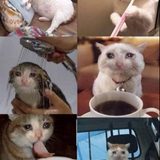 ad068471b084.png