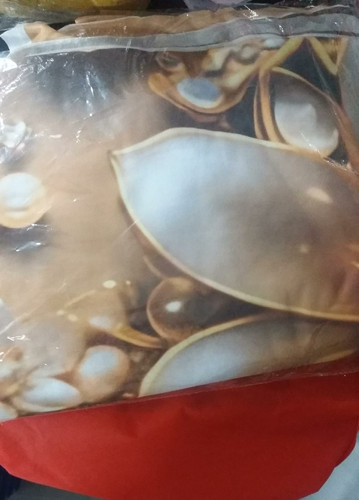 WhatsApp Image 2026 04 07 at 13.10.28.jpg