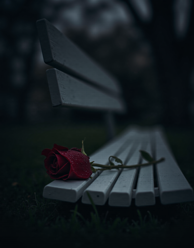 d1b546fc01c5.png