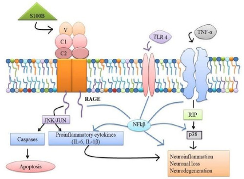 390 image crop 0 0 1000 1000.jpg