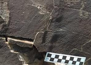 688 image crop 300 300 700 700.jpg