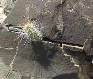 688 image crop 0 200 500 800.jpg