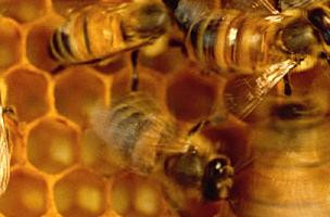 410 image crop 300 300 700 700.jpg