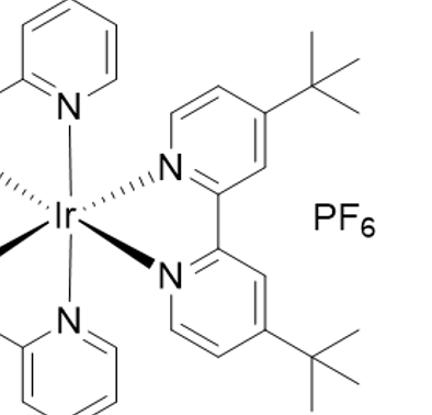 2024 image crop 780 100 990 700.png