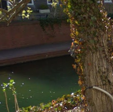 234 image crop 400 100 800 400.png