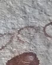 1934 image crop 750 100 850 250.jpg