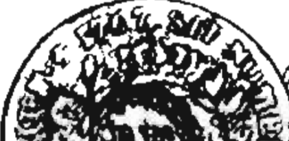 626 image crop 20 10 510 490.png