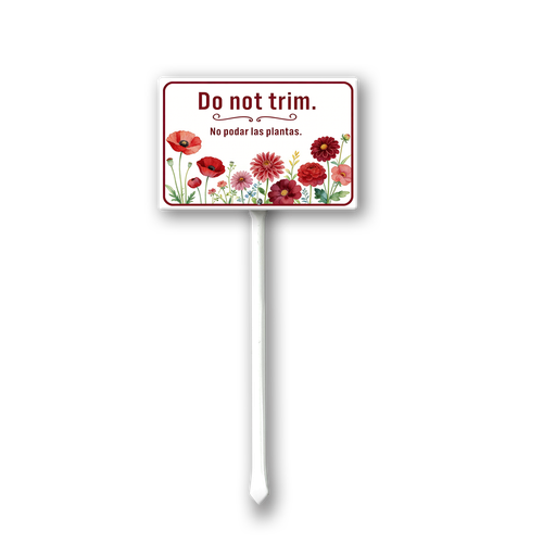 TT2.png