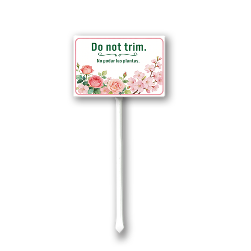 TT11.png
