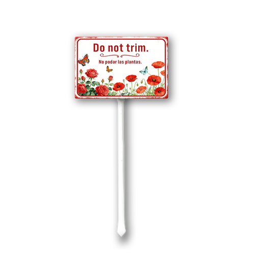 TT12.png