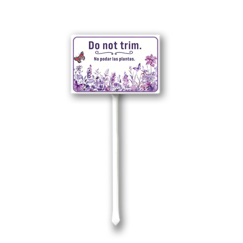 TT20.png