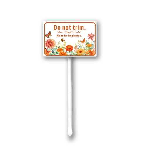 TT21.png