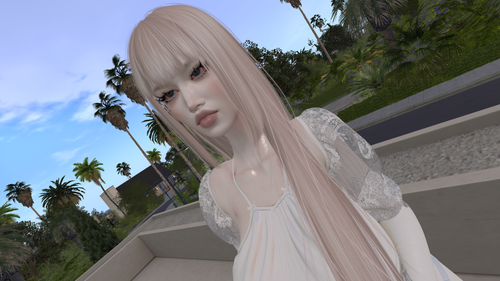 Snapshot 2026 04 07 00130901.png