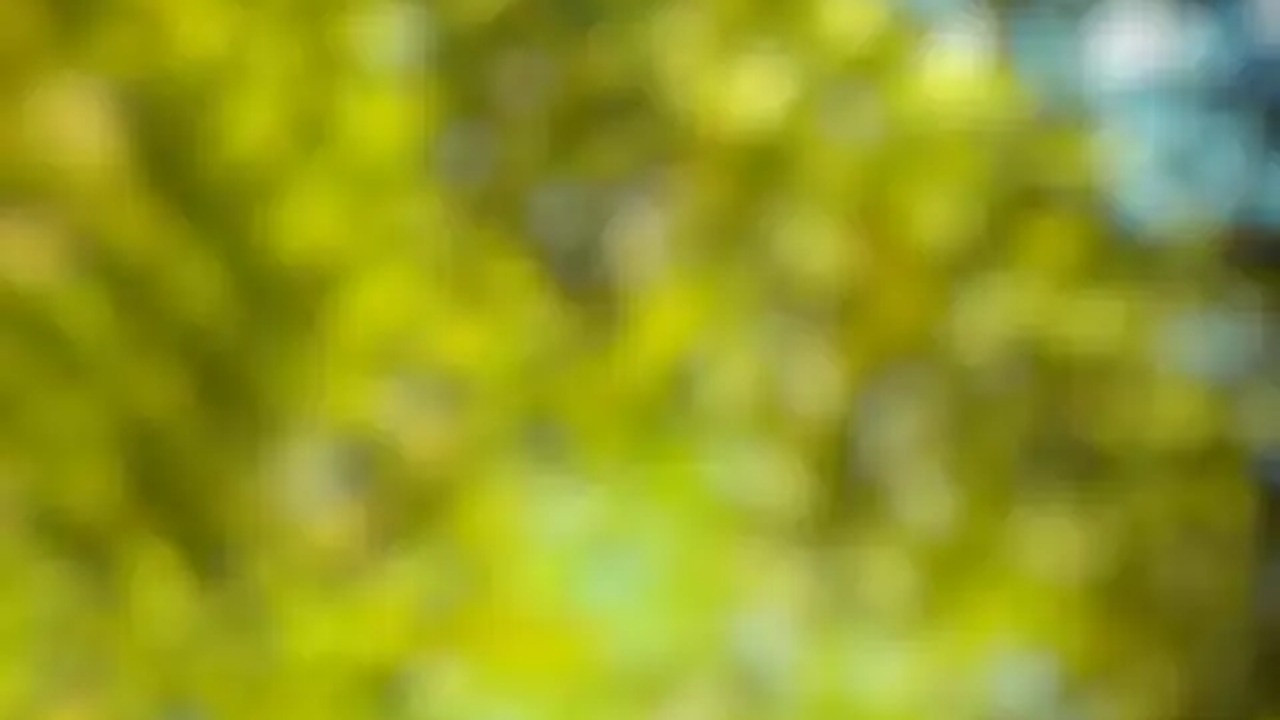 Contoh Nyata: Studi Kasus Edit Foto Blur yang Bikin Heboh!