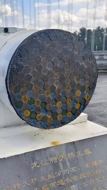 FJPb hh0 SqjvpS8.jpg