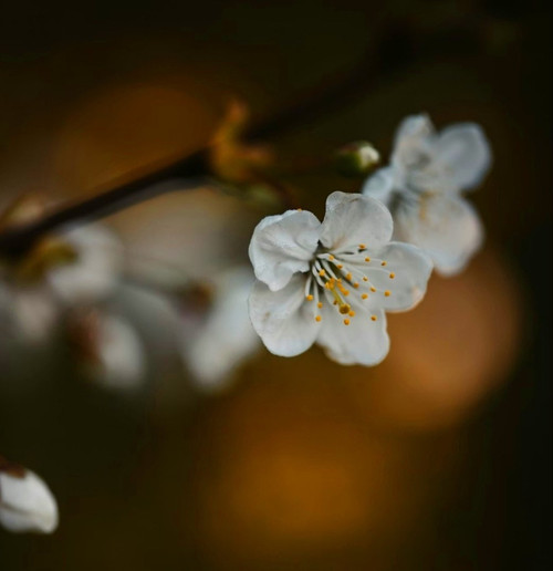 HFNnu 3aUAA34Xr?format=jpg.jpg