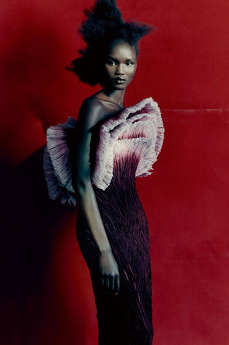 HFRK5F aAAAR8G0?format=jpg.jpg