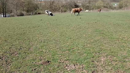 Dh4OPJPv8js zkY .jpg