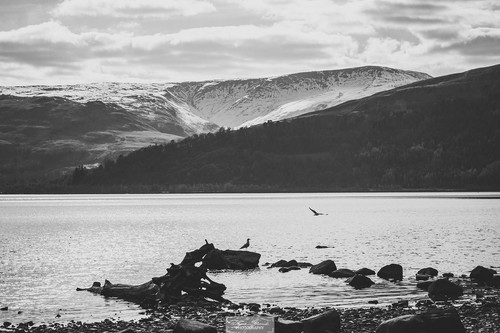 HFO 33PXIAAwax4?format=jpg.jpg