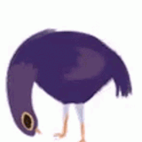 Dove Trash Dove GIF Dove Trash Dove Dove Headbang Discover & Share GIFs.gif