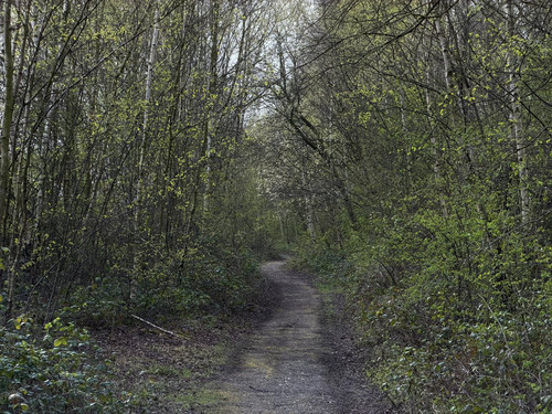 HE6 OUPbEAAeYGS?format=jpg.jpg