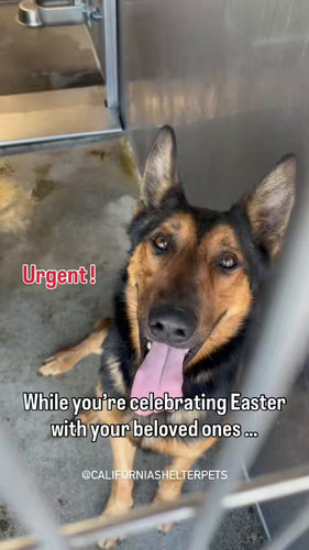 GscNRBhQ3By qPon.jpg