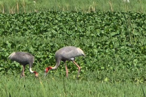 HrTZHvevqcT B8YQ.jpg